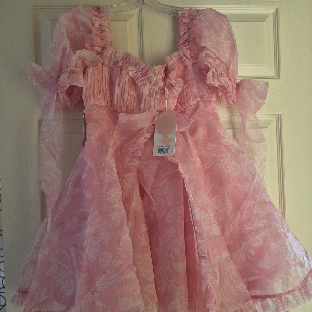Selkie Blushed Pink Floral Organza Mini Dress